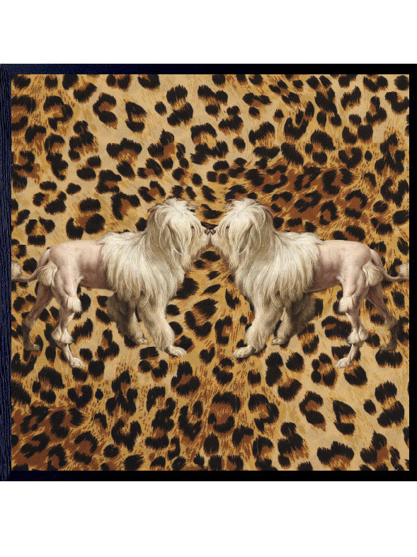 PLAKATER, vanillafly, vanillaflydk, gallerivæg, retrotryk, retroplakater, plakater, flotteplakater, artprints, designprint, billedvæg, flotteplakater, kunst, kunsttryk, gallerikunst, vægkunst, plakatertilsalg, posters, poster, retroposter, retro, art, artprints, artprint, interior, interiordesign, galleryart, botanicalposter, botanicalillustration, gallerywall, wallart, botanicalprint, botanicalart, homedecor, tropicalprint, tropicalart, floralprint, floralart, floralprints, walldecor, artwork wallspace, st