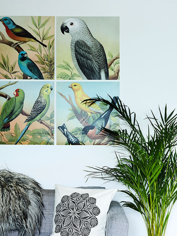 VanillaFly plakater, flotte plakater, moderne plakater, plakater på nettet, plakater online, plakater til salg, køb plakater online, plakater med tekst, plakater natur, designplakater vintageart, plancher, plakat, tavlor, kunstprint, dekorativ, kunst, billede, print, kunstprint, indrammet kunst, vægdekoration, væg dekoration, kunstprint, indrammede plakater, dekorative plakater, vægpynt, billige plakater, scandinavian design plakater, skandinavisk design, skandinavisk, nordic, nordisk, nordisk design, plaka