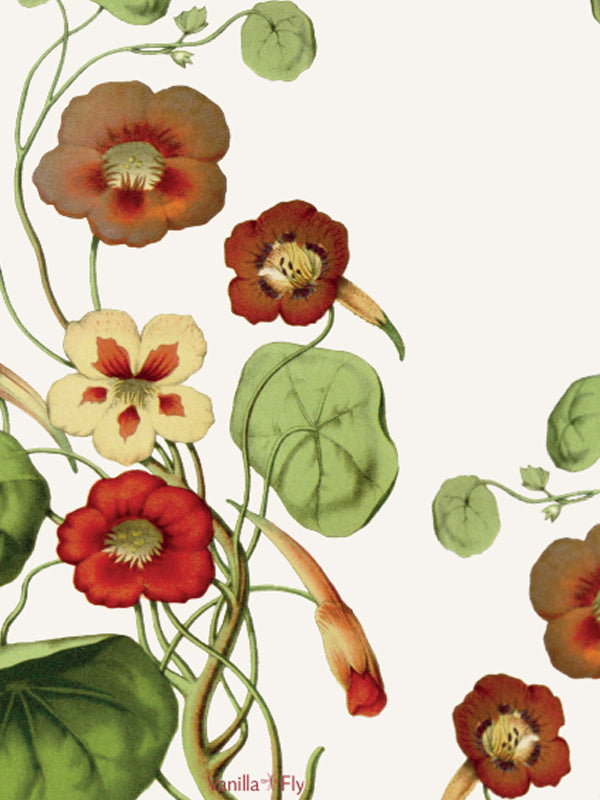 Notizbücher, Drucker, Block, Linien, Schreibblock, farbige Linien, Bleistift, Schreibtisch, Home Office, Post-It-Pads, Standard-Pads, chinesische Bücher, Flipchart-Papier, Post-It-Pads, Standard-Pads, Bürozubehör, Buchumschläge, Kalender , Notizbücher, Tagebücher, billig, A5, dänisches Design, Kopenhagen, Buch & Idee, schön, hohe Qualität, skurril,anteckningsböcker, skrivare, pad, linjer, skrivplatta, färgade linjer, penna, skrivbord, hemmakontor, Post-it-kuddar, Standardkuddar, kinesiska böcker, blädderblo