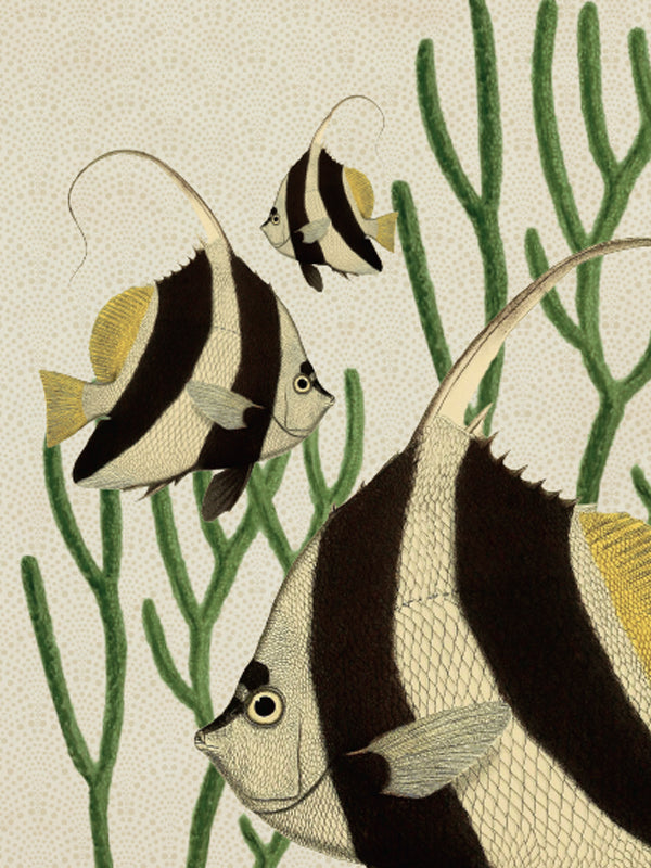 brevpapir, smuk, dansk, design, notesbøger, Perfekt, noter, strålende ideer, softcover, notesbog, delikat design, matchende, Lyse, Blomstermørk, Blomstermotiv, Folieret, Frugtagtig, Marmor, Monogram, Nyhed, Mønster, Mennesker, Romantisk, Rustik, scene, enkel, typografisk Vintage, akvarel, kransfarvet, linjer, papir, prik, mønstre, foret, prikket, almindeligt, tidsskrifter, indbundet, softback, omslag, dagbog, typografisk, moderne, nyhed, abstrakt, mønster Dyr, botanisk, kalligrafi, karakter, klassisk, konst