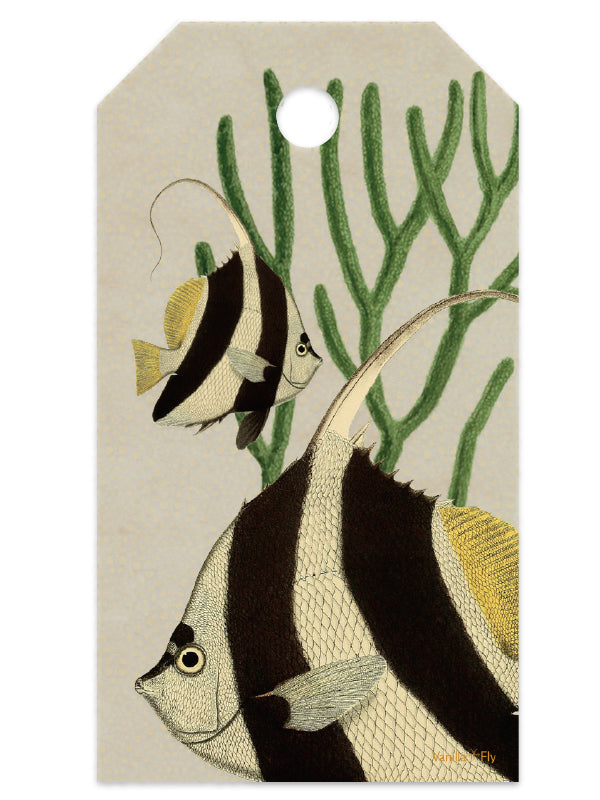 manillamærker, label,gavemærke,kort hilsen,sjove,humoristiske,enhver anledning, manilla tags, label, gift tag, short greeting, funny, humorous, any occasion, ribbon, gift ribbon, manillatunnisteet, etiketti, lahjalappu, lyhyt tervehdys, hauska, humoristinen, kaikissa tilanteissa, nauha, lahjanauha, étiquettes manille, étiquette, étiquette cadeau, salutation courte, drôle, humoristique, toute occasion, ruban, ruban cadeau, manilla merki, merki, gjafamerki, stutt kveðja, fyndið, gamansamt, við hvaða tilefni,