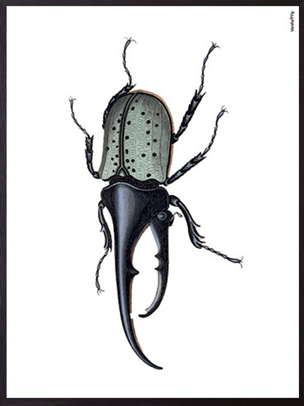 PLAKATER, vanillafly, vanillaflydk, gallerivæg, retrotryk, retroplakater, plakater, flotteplakater, artprints, designprint, billedvæg, flotteplakater, kunst, kunsttryk, gallerikunst, vægkunst, plakatertilsalg, posters, poster, retroposter, retro, art, artprints, artprint, interior, interiordesign, galleryart, botanicalposter, botanicalillustration, gallerywall, wallart, botanicalprint, botanicalart, homedecor, tropicalprint, tropicalart, floralprint, floralart, floralprints, walldecor, artwork wallspace, st