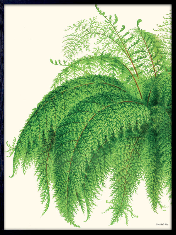 PLAKATER, vanillafly, vanillaflydk, gallerivæg, retrotryk, retroplakater, plakater, flotteplakater, artprints, designprint, billedvæg, flotteplakater, kunst, kunsttryk, gallerikunst, vægkunst, plakatertilsalg, posters, poster, retroposter, retro, art, artprints, artprint, interior, interiordesign, galleryart, botanicalposter, botanicalillustration, gallerywall, wallart, botanicalprint, botanicalart, homedecor, tropicalprint, tropicalart, floralprint, floralart, floralprints, walldecor, artwork wallspace, st