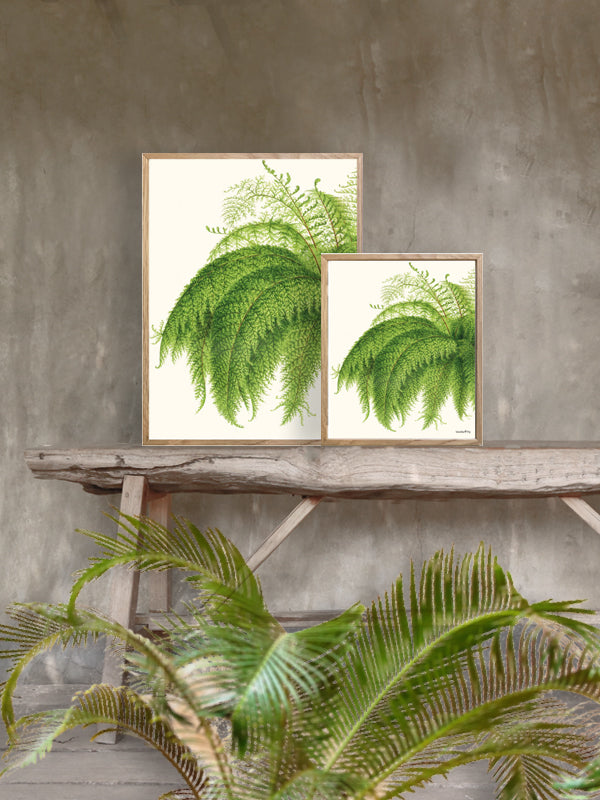 PLAKATER, vanillafly, vanillaflydk, gallerivæg, retrotryk, retroplakater, plakater, flotteplakater, artprints, designprint, billedvæg, flotteplakater, kunst, kunsttryk, gallerikunst, vægkunst, plakatertilsalg, posters, poster, retroposter, retro, art, artprints, artprint, interior, interiordesign, galleryart, botanicalposter, botanicalillustration, gallerywall, wallart, botanicalprint, botanicalart, homedecor, tropicalprint, tropicalart, floralprint, floralart, floralprints, walldecor, artwork wallspace, st