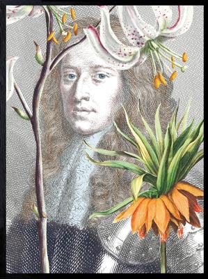 PLAKATER, vanillafly, vanillaflydk, gallerivæg, retrotryk, retroplakater, plakater, flotteplakater, artprints, designprint, billedvæg, flotteplakater, kunst, kunsttryk, gallerikunst, vægkunst, plakatertilsalg, posters, poster, retroposter, retro, art, artprints, artprint, interior, interiordesign, galleryart, botanicalposter, botanicalillustration, gallerywall, wallart, botanicalprint, botanicalart, homedecor, tropicalprint, tropicalart, floralprint, floralart, floralprints, walldecor, artwork wallspace, st