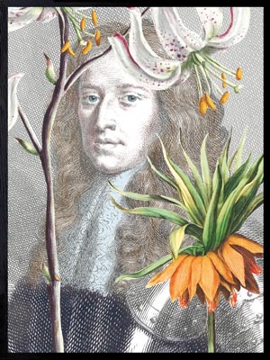 PLAKATER, vanillafly, vanillaflydk, gallerivæg, retrotryk, retroplakater, plakater, flotteplakater, artprints, designprint, billedvæg, flotteplakater, kunst, kunsttryk, gallerikunst, vægkunst, plakatertilsalg, posters, poster, retroposter, retro, art, artprints, artprint, interior, interiordesign, galleryart, botanicalposter, botanicalillustration, gallerywall, wallart, botanicalprint, botanicalart, homedecor, tropicalprint, tropicalart, floralprint, floralart, floralprints, walldecor, artwork wallspace, st