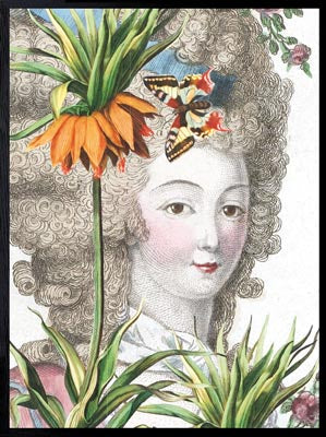 PLAKATER, vanillafly, vanillaflydk, gallerivæg, retrotryk, retroplakater, plakater, flotteplakater, artprints, designprint, billedvæg, flotteplakater, kunst, kunsttryk, gallerikunst, vægkunst, plakatertilsalg, posters, poster, retroposter, retro, art, artprints, artprint, interior, interiordesign, galleryart, botanicalposter, botanicalillustration, gallerywall, wallart, botanicalprint, botanicalart, homedecor, tropicalprint, tropicalart, floralprint, floralart, floralprints, walldecor, artwork wallspace, st