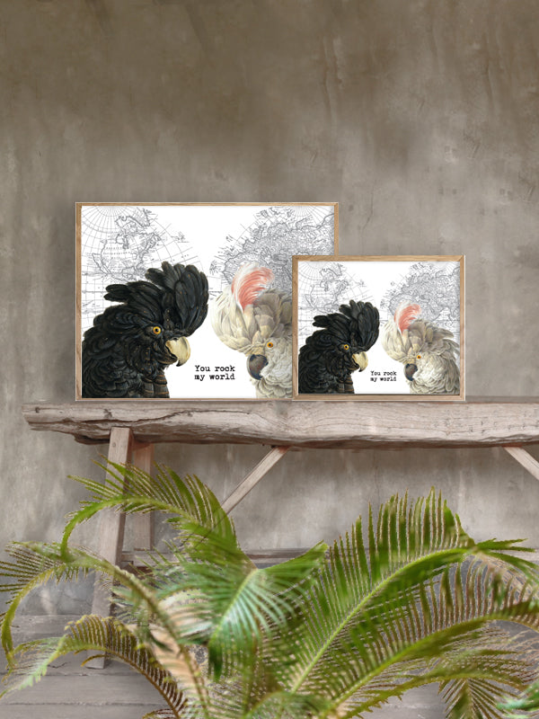 PLAKATER, vanillafly, vanillaflydk, gallerivæg, retrotryk, retroplakater, plakater, flotteplakater, artprints, designprint, billedvæg, flotteplakater, kunst, kunsttryk, gallerikunst, vægkunst, plakatertilsalg, posters, poster, retroposter, retro, art, artprints, artprint, interior, interiordesign, galleryart, botanicalposter, botanicalillustration, gallerywall, wallart, botanicalprint, botanicalart, homedecor, tropicalprint, tropicalart, floralprint, floralart, floralprints, walldecor, artwork wallspace, st