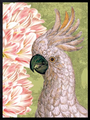 PLAKATER, vanillafly, vanillaflydk, gallerivæg, retrotryk, retroplakater, plakater, flotteplakater, artprints, designprint, billedvæg, flotteplakater, kunst, kunsttryk, gallerikunst, vægkunst, plakatertilsalg, posters, poster, retroposter, retro, art, artprints, artprint, interior, interiordesign, galleryart, botanicalposter, botanicalillustration, gallerywall, wallart, botanicalprint, botanicalart, homedecor, tropicalprint, tropicalart, floralprint, floralart, floralprints, walldecor, artwork wallspace, st