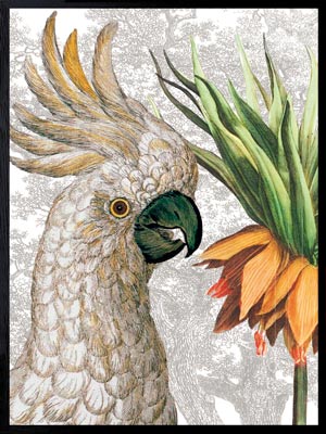 PLAKATER, vanillafly, vanillaflydk, gallerivæg, retrotryk, retroplakater, plakater, flotteplakater, artprints, designprint, billedvæg, flotteplakater, kunst, kunsttryk, gallerikunst, vægkunst, plakatertilsalg, posters, poster, retroposter, retro, art, artprints, artprint, interior, interiordesign, galleryart, botanicalposter, botanicalillustration, gallerywall, wallart, botanicalprint, botanicalart, homedecor, tropicalprint, tropicalart, floralprint, floralart, floralprints, walldecor, artwork wallspace, st