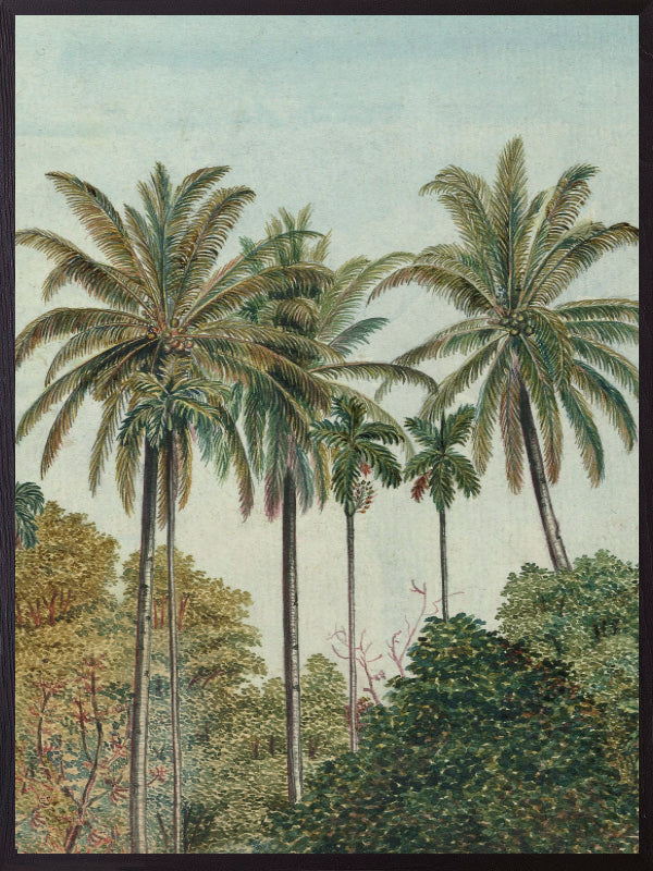 PLAKATER, vanillafly, vanillaflydk, gallerivæg, retrotryk, retroplakater, plakater, flotteplakater, artprints, designprint, billedvæg, flotteplakater, kunst, kunsttryk, gallerikunst, vægkunst, plakatertilsalg, posters, poster, retroposter, retro, art, artprints, artprint, interior, interiordesign, galleryart, botanicalposter, botanicalillustration, gallerywall, wallart, botanicalprint, botanicalart, homedecor, tropicalprint, tropicalart, floralprint, floralart, floralprints, walldecor, artwork wallspace, st