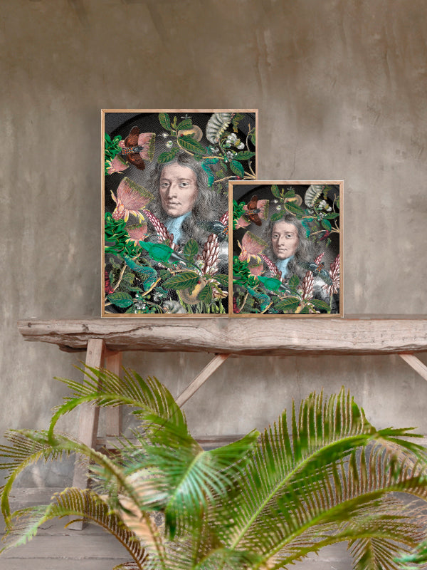 PLAKATER, vanillafly, vanillaflydk, gallerivæg, retrotryk, retroplakater, plakater, flotteplakater, artprints, designprint, billedvæg, flotteplakater, kunst, kunsttryk, gallerikunst, vægkunst, plakatertilsalg, posters, poster, retroposter, retro, art, artprints, artprint, interior, interiordesign, galleryart, botanicalposter, botanicalillustration, gallerywall, wallart, botanicalprint, botanicalart, homedecor, tropicalprint, tropicalart, floralprint, floralart, floralprints, walldecor, artwork wallspace, st