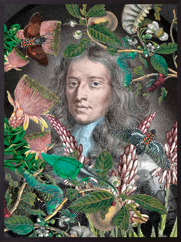 PLAKATER, vanillafly, vanillaflydk, gallerivæg, retrotryk, retroplakater, plakater, flotteplakater, artprints, designprint, billedvæg, flotteplakater, kunst, kunsttryk, gallerikunst, vægkunst, plakatertilsalg, posters, poster, retroposter, retro, art, artprints, artprint, interior, interiordesign, galleryart, botanicalposter, botanicalillustration, gallerywall, wallart, botanicalprint, botanicalart, homedecor, tropicalprint, tropicalart, floralprint, floralart, floralprints, walldecor, artwork wallspace, st