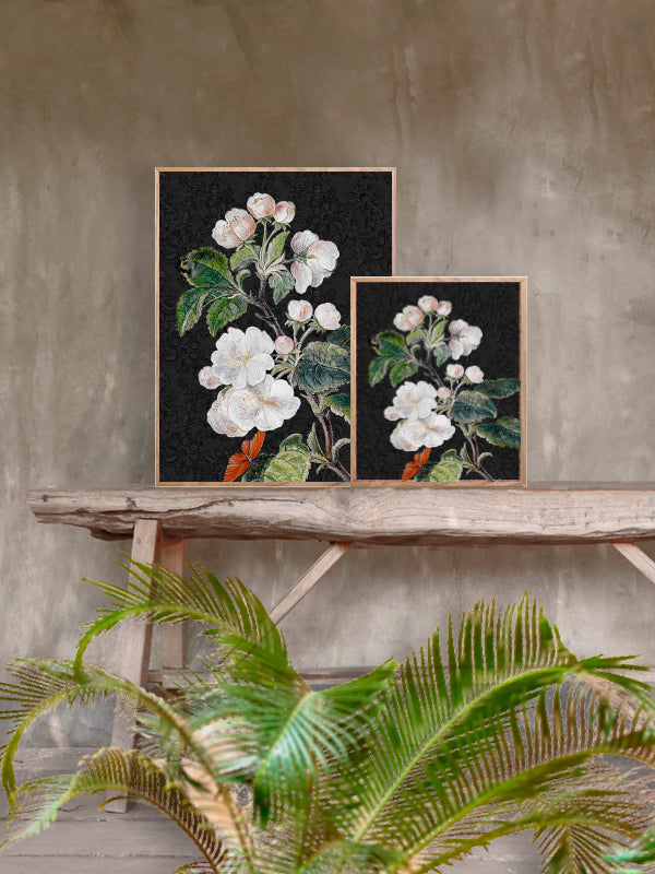 PLAKATER, vanillafly, vanillaflydk, gallerivæg, retrotryk, retroplakater, plakater, flotteplakater, artprints, designprint, billedvæg, flotteplakater, kunst, kunsttryk, gallerikunst, vægkunst, plakatertilsalg, posters, poster, retroposter, retro, art, artprints, artprint, interior, interiordesign, galleryart, botanicalposter, botanicalillustration, gallerywall, wallart, botanicalprint, botanicalart, homedecor, tropicalprint, tropicalart, floralprint, floralart, floralprints, walldecor, artwork wallspace, st