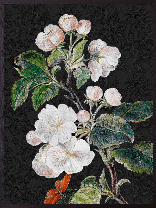 PLAKATER, vanillafly, vanillaflydk, gallerivæg, retrotryk, retroplakater, plakater, flotteplakater, artprints, designprint, billedvæg, flotteplakater, kunst, kunsttryk, gallerikunst, vægkunst, plakatertilsalg, posters, poster, retroposter, retro, art, artprints, artprint, interior, interiordesign, galleryart, botanicalposter, botanicalillustration, gallerywall, wallart, botanicalprint, botanicalart, homedecor, tropicalprint, tropicalart, floralprint, floralart, floralprints, walldecor, artwork wallspace, st