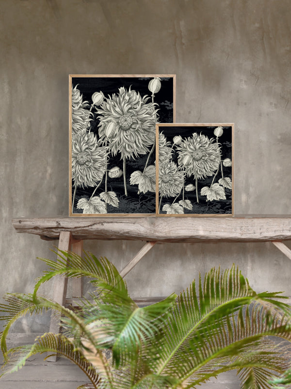 PLAKATER, vanillafly, vanillaflydk, gallerivæg, retrotryk, retroplakater, plakater, flotteplakater, artprints, designprint, billedvæg, flotteplakater, kunst, kunsttryk, gallerikunst, vægkunst, plakatertilsalg, posters, poster, retroposter, retro, art, artprints, artprint, interior, interiordesign, galleryart, botanicalposter, botanicalillustration, gallerywall, wallart, botanicalprint, botanicalart, homedecor, tropicalprint, tropicalart, floralprint, floralart, floralprints, walldecor, artwork wallspace, st