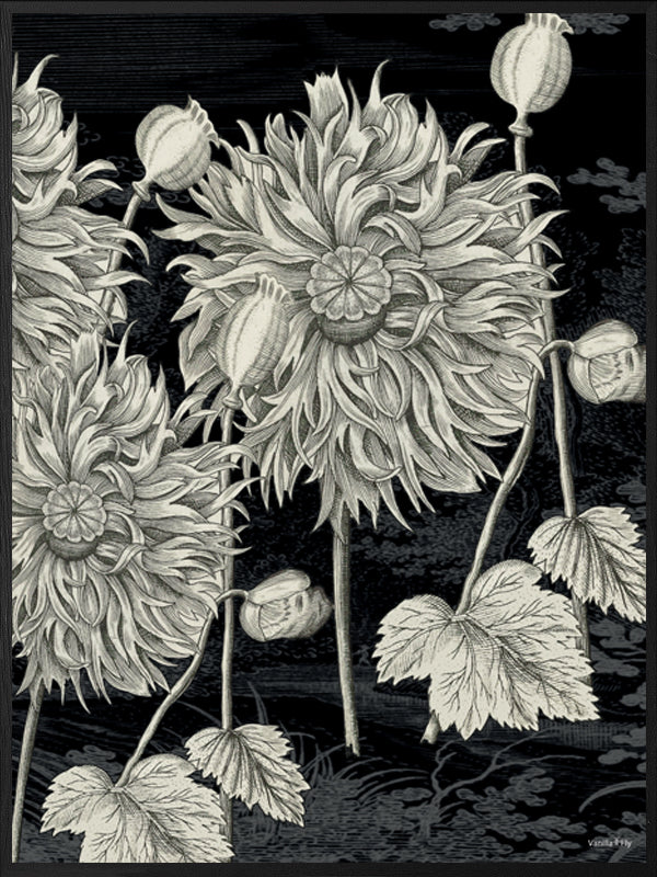 PLAKATER, vanillafly, vanillaflydk, gallerivæg, retrotryk, retroplakater, plakater, flotteplakater, artprints, designprint, billedvæg, flotteplakater, kunst, kunsttryk, gallerikunst, vægkunst, plakatertilsalg, posters, poster, retroposter, retro, art, artprints, artprint, interior, interiordesign, galleryart, botanicalposter, botanicalillustration, gallerywall, wallart, botanicalprint, botanicalart, homedecor, tropicalprint, tropicalart, floralprint, floralart, floralprints, walldecor, artwork wallspace, st