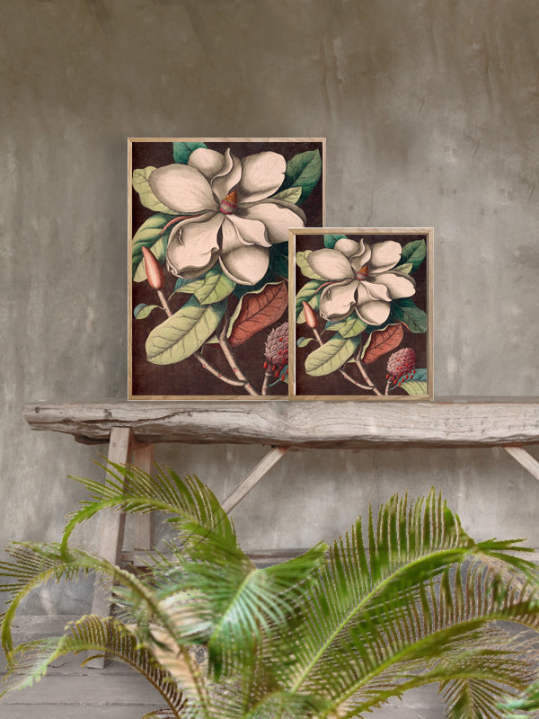 PLAKATER, vanillafly, vanillaflydk, gallerivæg, retrotryk, retroplakater, plakater, flotteplakater, artprints, designprint, billedvæg, flotteplakater, kunst, kunsttryk, gallerikunst, vægkunst, plakatertilsalg, posters, poster, retroposter, retro, art, artprints, artprint, interior, interiordesign, galleryart, botanicalposter, botanicalillustration, gallerywall, wallart, botanicalprint, botanicalart, homedecor, tropicalprint, tropicalart, floralprint, floralart, floralprints, walldecor, artwork wallspace, st