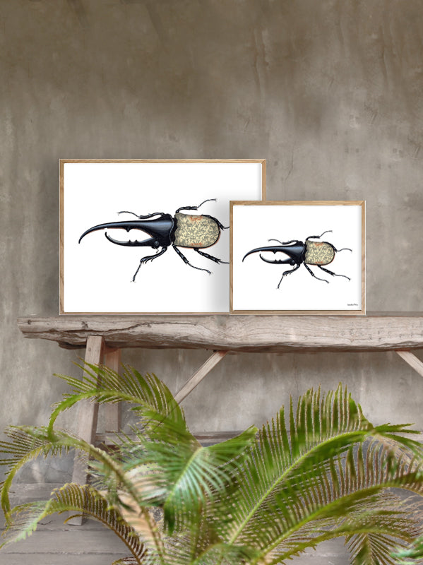 PLAKATER, vanillafly, vanillaflydk, gallerivæg, retrotryk, retroplakater, plakater, flotteplakater, artprints, designprint, billedvæg, flotteplakater, kunst, kunsttryk, gallerikunst, vægkunst, plakatertilsalg, posters, poster, retroposter, retro, art, artprints, artprint, interior, interiordesign, galleryart, botanicalposter, botanicalillustration, gallerywall, wallart, botanicalprint, botanicalart, homedecor, tropicalprint, tropicalart, floralprint, floralart, floralprints, walldecor, artwork wallspace, st