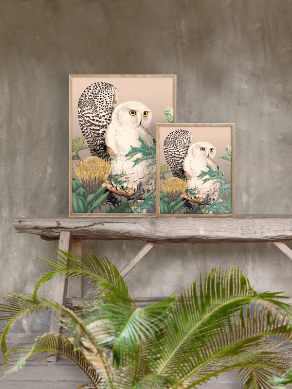 PLAKATER, vanillafly, vanillaflydk, gallerivæg, retrotryk, retroplakater, plakater, flotteplakater, artprints, designprint, billedvæg, flotteplakater, kunst, kunsttryk, gallerikunst, vægkunst, plakatertilsalg, posters, poster, retroposter, retro, art, artprints, artprint, interior, interiordesign, galleryart, botanicalposter, botanicalillustration, gallerywall, wallart, botanicalprint, botanicalart, homedecor, tropicalprint, tropicalart, floralprint, floralart, floralprints, walldecor, artwork wallspace, st