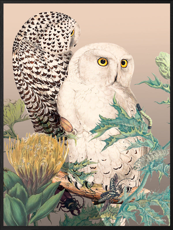 PLAKATER, vanillafly, vanillaflydk, gallerivæg, retrotryk, retroplakater, plakater, flotteplakater, artprints, designprint, billedvæg, flotteplakater, kunst, kunsttryk, gallerikunst, vægkunst, plakatertilsalg, posters, poster, retroposter, retro, art, artprints, artprint, interior, interiordesign, galleryart, botanicalposter, botanicalillustration, gallerywall, wallart, botanicalprint, botanicalart, homedecor, tropicalprint, tropicalart, floralprint, floralart, floralprints, walldecor, artwork wallspace, st