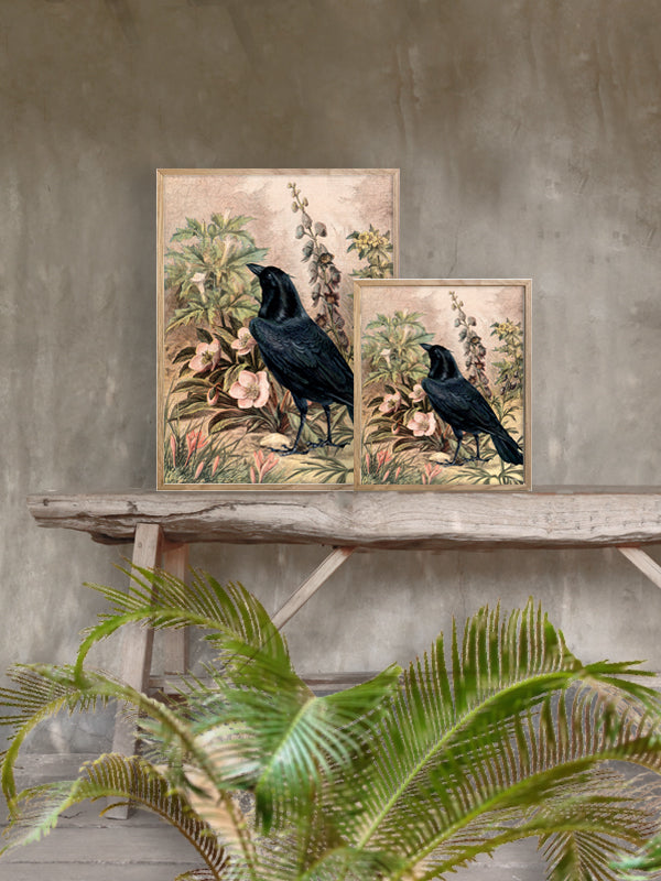 PLAKATER, vanillafly, vanillaflydk, gallerivæg, retrotryk, retroplakater, plakater, flotteplakater, artprints, designprint, billedvæg, flotteplakater, kunst, kunsttryk, gallerikunst, vægkunst, plakatertilsalg, posters, poster, retroposter, retro, art, artprints, artprint, interior, interiordesign, galleryart, botanicalposter, botanicalillustration, gallerywall, wallart, botanicalprint, botanicalart, homedecor, tropicalprint, tropicalart, floralprint, floralart, floralprints, walldecor, artwork wallspace, st