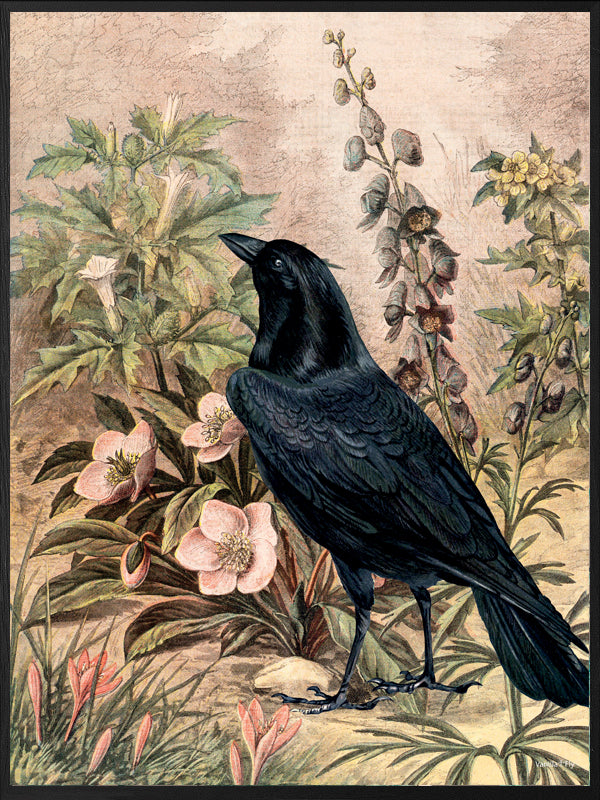 PLAKATER, vanillafly, vanillaflydk, gallerivæg, retrotryk, retroplakater, plakater, flotteplakater, artprints, designprint, billedvæg, flotteplakater, kunst, kunsttryk, gallerikunst, vægkunst, plakatertilsalg, posters, poster, retroposter, retro, art, artprints, artprint, interior, interiordesign, galleryart, botanicalposter, botanicalillustration, gallerywall, wallart, botanicalprint, botanicalart, homedecor, tropicalprint, tropicalart, floralprint, floralart, floralprints, walldecor, artwork wallspace, st