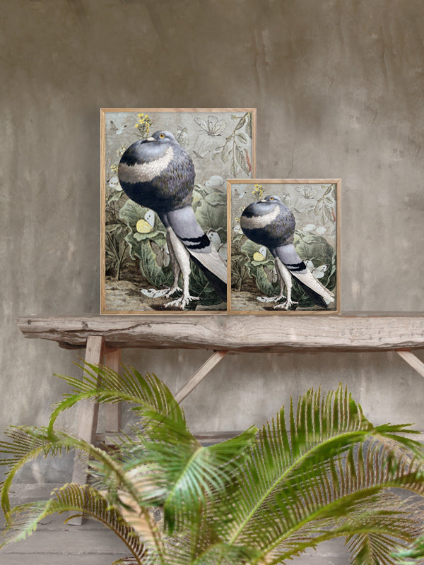 PLAKATER, vanillafly, vanillaflydk, gallerivæg, retrotryk, retroplakater, plakater, flotteplakater, artprints, designprint, billedvæg, flotteplakater, kunst, kunsttryk, gallerikunst, vægkunst, plakatertilsalg, posters, poster, retroposter, retro, art, artprints, artprint, interior, interiordesign, galleryart, botanicalposter, botanicalillustration, gallerywall, wallart, botanicalprint, botanicalart, homedecor, tropicalprint, tropicalart, floralprint, floralart, floralprints, walldecor, artwork wallspace, st