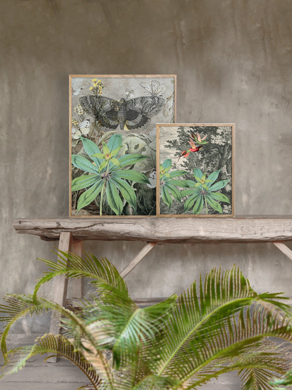 PLAKATER, vanillafly, vanillaflydk, gallerivæg, retrotryk, retroplakater, plakater, flotteplakater, artprints, designprint, billedvæg, flotteplakater, kunst, kunsttryk, gallerikunst, vægkunst, plakatertilsalg, posters, poster, retroposter, retro, art, artprints, artprint, interior, interiordesign, galleryart, botanicalposter, botanicalillustration, gallerywall, wallart, botanicalprint, botanicalart, homedecor, tropicalprint, tropicalart, floralprint, floralart, floralprints, walldecor, artwork wallspace, st