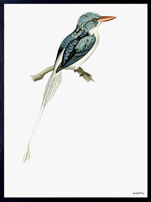 PLAKATER, vanillafly, vanillaflydk, gallerivæg, retrotryk, retroplakater, plakater, flotteplakater, artprints, designprint, billedvæg, flotteplakater, kunst, kunsttryk, gallerikunst, vægkunst, plakatertilsalg, posters, poster, retroposter, retro, art, artprints, artprint, interior, interiordesign, galleryart, botanicalposter, botanicalillustration, gallerywall, wallart, botanicalprint, botanicalart, homedecor, tropicalprint, tropicalart, floralprint, floralart, floralprints, walldecor, artwork wallspace, st