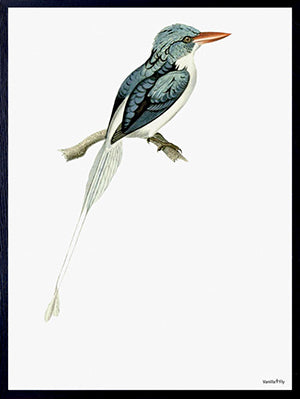 PLAKATER, vanillafly, vanillaflydk, gallerivæg, retrotryk, retroplakater, plakater, flotteplakater, artprints, designprint, billedvæg, flotteplakater, kunst, kunsttryk, gallerikunst, vægkunst, plakatertilsalg, posters, poster, retroposter, retro, art, artprints, artprint, interior, interiordesign, galleryart, botanicalposter, botanicalillustration, gallerywall, wallart, botanicalprint, botanicalart, homedecor, tropicalprint, tropicalart, floralprint, floralart, floralprints, walldecor, artwork wallspace, st