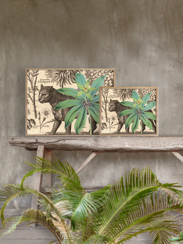 PLAKATER, vanillafly, vanillaflydk, gallerivæg, retrotryk, retroplakater, plakater, flotteplakater, artprints, designprint, billedvæg, flotteplakater, kunst, kunsttryk, gallerikunst, vægkunst, plakatertilsalg, posters, poster, retroposter, retro, art, artprints, artprint, interior, interiordesign, galleryart, botanicalposter, botanicalillustration, gallerywall, wallart, botanicalprint, botanicalart, homedecor, tropicalprint, tropicalart, floralprint, floralart, floralprints, walldecor, artwork wallspace, st