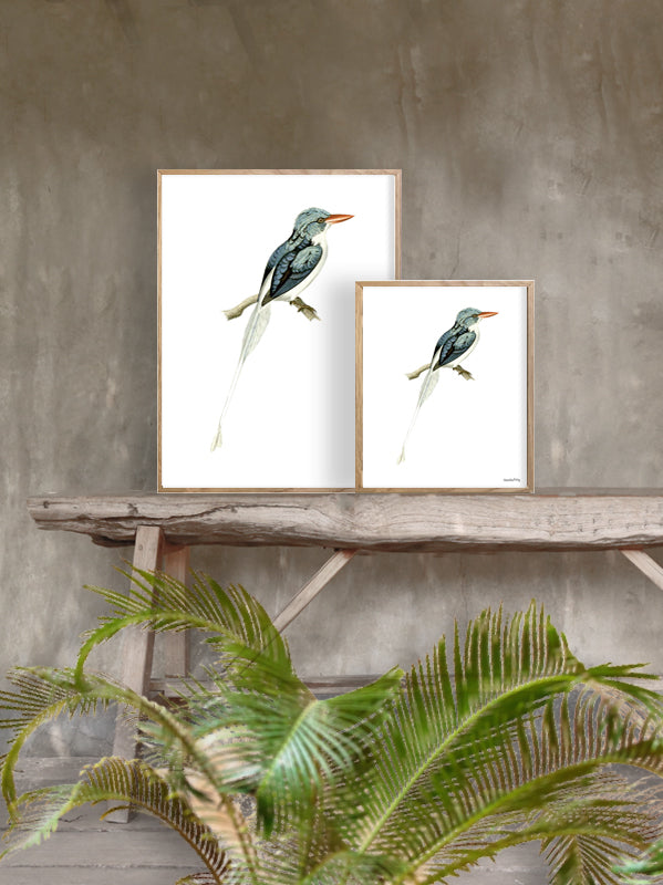 PLAKATER, vanillafly, vanillaflydk, gallerivæg, retrotryk, retroplakater, plakater, flotteplakater, artprints, designprint, billedvæg, flotteplakater, kunst, kunsttryk, gallerikunst, vægkunst, plakatertilsalg, posters, poster, retroposter, retro, art, artprints, artprint, interior, interiordesign, galleryart, botanicalposter, botanicalillustration, gallerywall, wallart, botanicalprint, botanicalart, homedecor, tropicalprint, tropicalart, floralprint, floralart, floralprints, walldecor, artwork wallspace, st