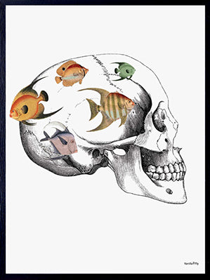 PLAKATER, vanillafly, vanillaflydk, gallerivæg, retrotryk, retroplakater, plakater, flotteplakater, artprints, designprint, billedvæg, flotteplakater, kunst, kunsttryk, gallerikunst, vægkunst, plakatertilsalg, posters, poster, retroposter, retro, art, artprints, artprint, interior, interiordesign, galleryart, botanicalposter, botanicalillustration, gallerywall, wallart, botanicalprint, botanicalart, homedecor, tropicalprint, tropicalart, floralprint, floralart, floralprints, walldecor, artwork wallspace, st