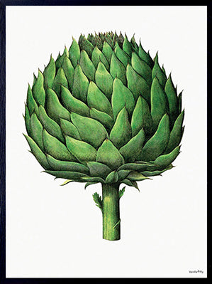 PLAKATER, vanillafly, vanillaflydk, gallerivæg, retrotryk, retroplakater, plakater, flotteplakater, artprints, designprint, billedvæg, flotteplakater, kunst, kunsttryk, gallerikunst, vægkunst, plakatertilsalg, posters, poster, retroposter, retro, art, artprints, artprint, interior, interiordesign, galleryart, botanicalposter, botanicalillustration, gallerywall, wallart, botanicalprint, botanicalart, homedecor, tropicalprint, tropicalart, floralprint, floralart, floralprints, walldecor, artwork wallspace, st