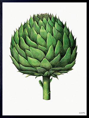 PLAKATER, vanillafly, vanillaflydk, gallerivæg, retrotryk, retroplakater, plakater, flotteplakater, artprints, designprint, billedvæg, flotteplakater, kunst, kunsttryk, gallerikunst, vægkunst, plakatertilsalg, posters, poster, retroposter, retro, art, artprints, artprint, interior, interiordesign, galleryart, botanicalposter, botanicalillustration, gallerywall, wallart, botanicalprint, botanicalart, homedecor, tropicalprint, tropicalart, floralprint, floralart, floralprints, walldecor, artwork wallspace, st