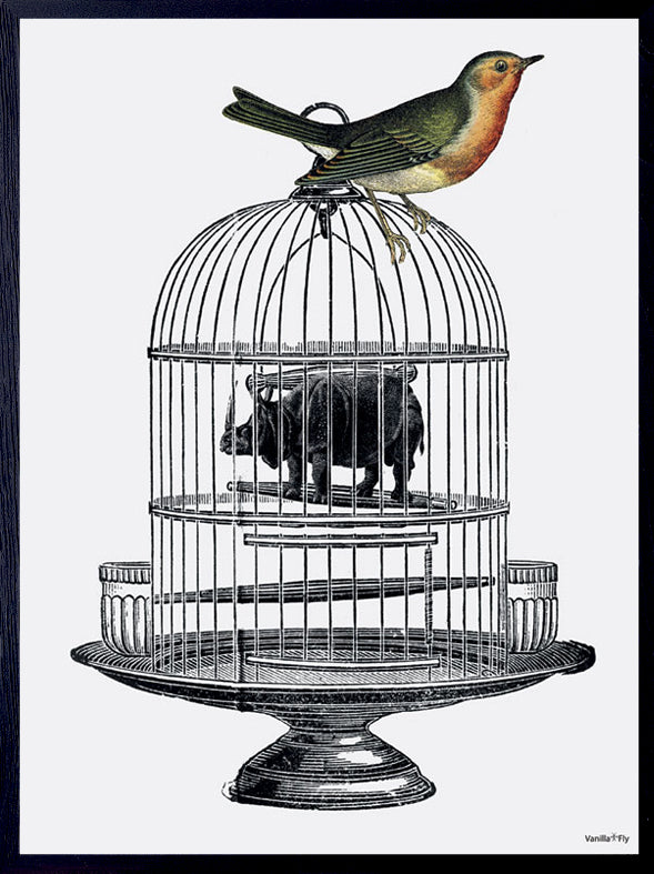 PLAKATER, vanillafly, vanillaflydk, gallerivæg, retrotryk, retroplakater, plakater, flotteplakater, artprints, designprint, billedvæg, flotteplakater, kunst, kunsttryk, gallerikunst, vægkunst, plakatertilsalg, posters, poster, retroposter, retro, art, artprints, artprint, interior, interiordesign, galleryart, botanicalposter, botanicalillustration, gallerywall, wallart, botanicalprint, botanicalart, homedecor, tropicalprint, tropicalart, floralprint, floralart, floralprints, walldecor, artwork wallspace, st