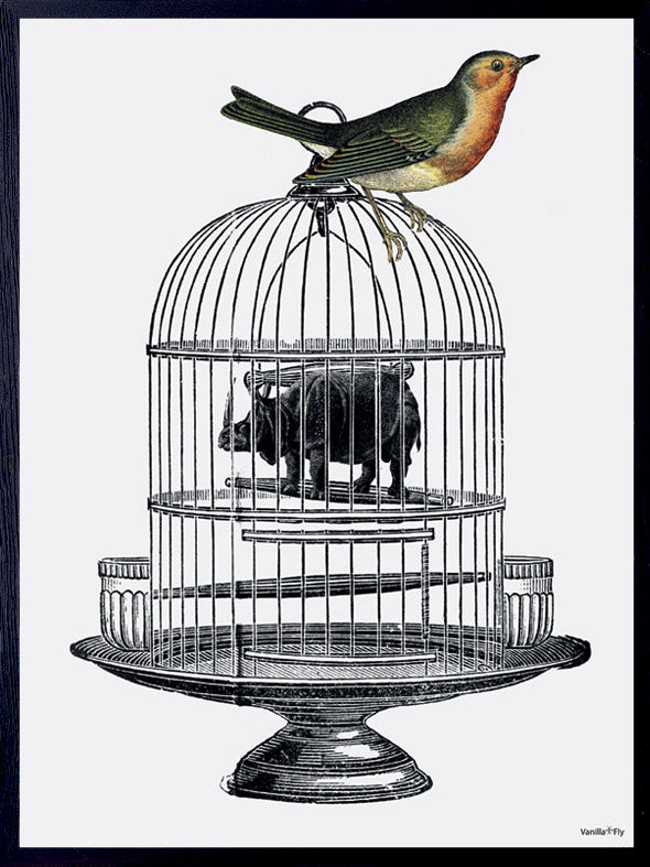 PLAKATER, vanillafly, vanillaflydk, gallerivæg, retrotryk, retroplakater, plakater, flotteplakater, artprints, designprint, billedvæg, flotteplakater, kunst, kunsttryk, gallerikunst, vægkunst, plakatertilsalg, posters, poster, retroposter, retro, art, artprints, artprint, interior, interiordesign, galleryart, botanicalposter, botanicalillustration, gallerywall, wallart, botanicalprint, botanicalart, homedecor, tropicalprint, tropicalart, floralprint, floralart, floralprints, walldecor, artwork wallspace, st