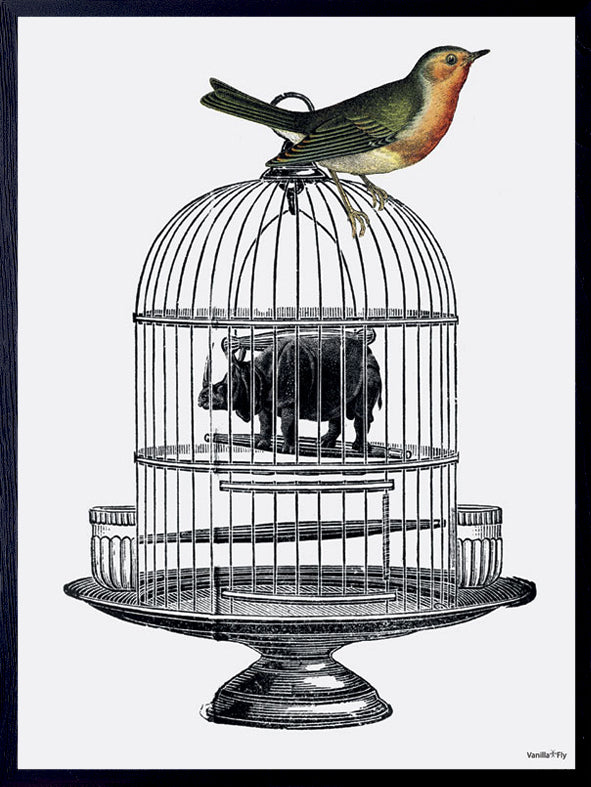 PLAKATER, vanillafly, vanillaflydk, gallerivæg, retrotryk, retroplakater, plakater, flotteplakater, artprints, designprint, billedvæg, flotteplakater, kunst, kunsttryk, gallerikunst, vægkunst, plakatertilsalg, posters, poster, retroposter, retro, art, artprints, artprint, interior, interiordesign, galleryart, botanicalposter, botanicalillustration, gallerywall, wallart, botanicalprint, botanicalart, homedecor, tropicalprint, tropicalart, floralprint, floralart, floralprints, walldecor, artwork wallspace, st