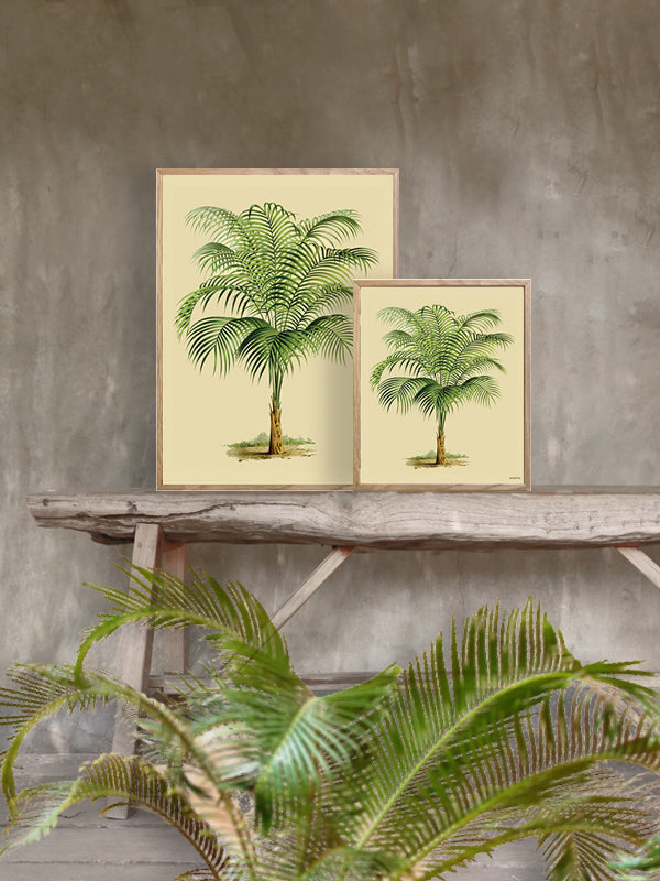 PLAKATER, vanillafly, vanillaflydk, gallerivæg, retrotryk, retroplakater, plakater, flotteplakater, artprints, designprint, billedvæg, flotteplakater, kunst, kunsttryk, gallerikunst, vægkunst, plakatertilsalg, posters, poster, retroposter, retro, art, artprints, artprint, interior, interiordesign, galleryart, botanicalposter, botanicalillustration, gallerywall, wallart, botanicalprint, botanicalart, homedecor, tropicalprint, tropicalart, floralprint, floralart, floralprints, walldecor, artwork wallspace, st