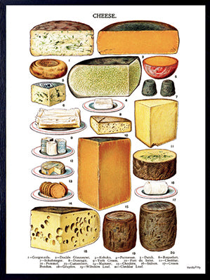 PLAKATER, vanillafly, vanillaflydk, gallerivæg, retrotryk, retroplakater, plakater, flotteplakater, artprints, designprint, billedvæg, flotteplakater, kunst, kunsttryk, gallerikunst, vægkunst, plakatertilsalg, posters, poster, retroposter, retro, art, artprints, artprint, interior, interiordesign, galleryart, botanicalposter, botanicalillustration, gallerywall, wallart, botanicalprint, botanicalart, homedecor, tropicalprint, tropicalart, floralprint, floralart, floralprints, walldecor, artwork wallspace, st