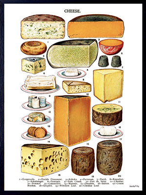 PLAKATER, vanillafly, vanillaflydk, gallerivæg, retrotryk, retroplakater, plakater, flotteplakater, artprints, designprint, billedvæg, flotteplakater, kunst, kunsttryk, gallerikunst, vægkunst, plakatertilsalg, posters, poster, retroposter, retro, art, artprints, artprint, interior, interiordesign, galleryart, botanicalposter, botanicalillustration, gallerywall, wallart, botanicalprint, botanicalart, homedecor, tropicalprint, tropicalart, floralprint, floralart, floralprints, walldecor, artwork wallspace, st