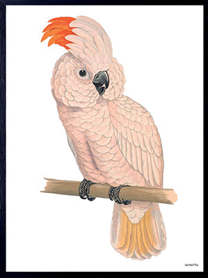 PLAKATER, vanillafly, vanillaflydk, gallerivæg, retrotryk, retroplakater, plakater, flotteplakater, artprints, designprint, billedvæg, flotteplakater, kunst, kunsttryk, gallerikunst, vægkunst, plakatertilsalg, posters, poster, retroposter, retro, art, artprints, artprint, interior, interiordesign, galleryart, botanicalposter, botanicalillustration, gallerywall, wallart, botanicalprint, botanicalart, homedecor, tropicalprint, tropicalart, floralprint, floralart, floralprints, walldecor, artwork wallspace, st