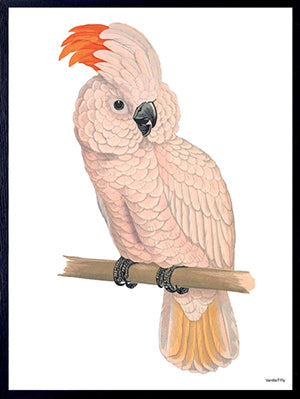 PLAKATER, vanillafly, vanillaflydk, gallerivæg, retrotryk, retroplakater, plakater, flotteplakater, artprints, designprint, billedvæg, flotteplakater, kunst, kunsttryk, gallerikunst, vægkunst, plakatertilsalg, posters, poster, retroposter, retro, art, artprints, artprint, interior, interiordesign, galleryart, botanicalposter, botanicalillustration, gallerywall, wallart, botanicalprint, botanicalart, homedecor, tropicalprint, tropicalart, floralprint, floralart, floralprints, walldecor, artwork wallspace, st