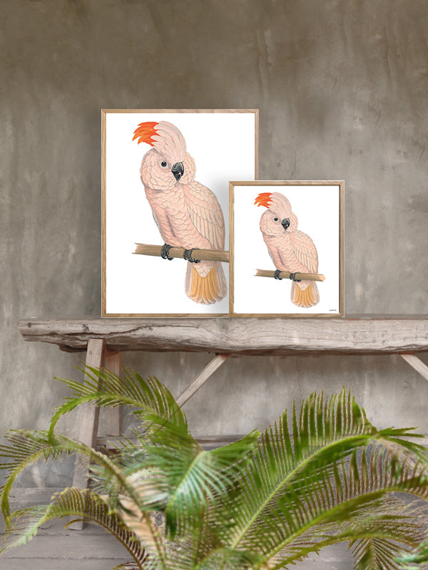 PLAKATER, vanillafly, vanillaflydk, gallerivæg, retrotryk, retroplakater, plakater, flotteplakater, artprints, designprint, billedvæg, flotteplakater, kunst, kunsttryk, gallerikunst, vægkunst, plakatertilsalg, posters, poster, retroposter, retro, art, artprints, artprint, interior, interiordesign, galleryart, botanicalposter, botanicalillustration, gallerywall, wallart, botanicalprint, botanicalart, homedecor, tropicalprint, tropicalart, floralprint, floralart, floralprints, walldecor, artwork wallspace, st