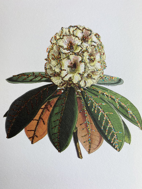 kort, glimmerkort, fødselsdagskort, cards, birthday card, thank you card, friendship card, cool i love you card, i admire you card, you are the best card, designcard, designer card, greetingcards, greeting cards, sendmoresnailmail, glitter cards, postcard, handmade cards, papercrafts, papergoods, carte postale, papeterie, funny cards, stationary, for sale, kort, kuvert, takkekort, flotte kort, selvklæbende lukning, pyntet med guldglimmer, kort med glimmer, glimmerkort, kort med guldglimmer, bryllupsinvitati