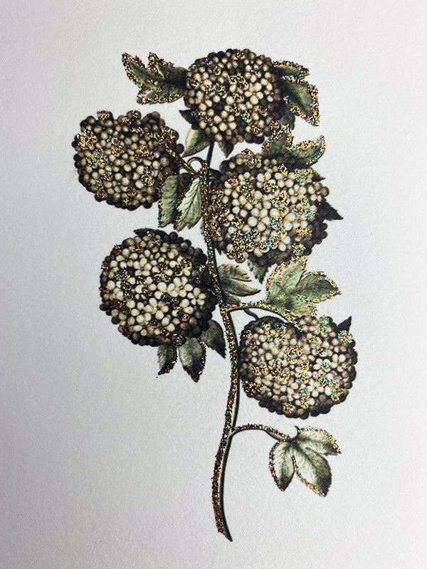 kort, glimmerkort, fødselsdagskort, cards, birthday card, thank you card, friendship card, cool i love you card, i admire you card, you are the best card, designcard, designer card, greetingcards, greeting cards, sendmoresnailmail, glitter cards, postcard, handmade cards, papercrafts, papergoods, carte postale, papeterie, funny cards, stationary, for sale, kort, kuvert, takkekort, flotte kort, selvklæbende lukning, pyntet med guldglimmer, kort med glimmer, glimmerkort, kort med guldglimmer, bryllupsinvitati