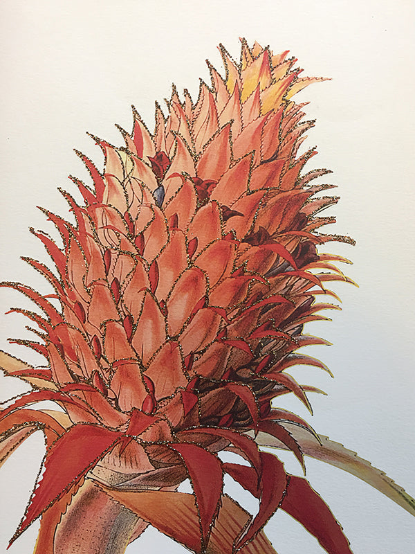 cards, birthday card, thank you card, friendship card, cool i love you card, i admire you card, you are the best card, designcard, designer card, greetingcards, greeting cards, sendmoresnailmail, glitter cards, postcard, handmade cards, papercrafts, papergoods, carte postale, papeterie, funny cards, stationary, for sale, envelope, double card, self adhesive,condolences,greetings,christmas cards, wishes,Milestone,anniverisary,get well, miss you,graduation,thanks, cheer up, think of you,embellished with glitt