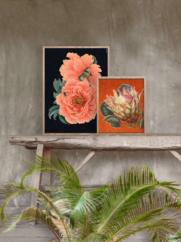 PLAKATER, vanillafly, vanillaflydk, gallerivæg, retrotryk, retroplakater, plakater, flotteplakater, artprints, designprint, billedvæg, flotteplakater, kunst, kunsttryk, gallerikunst, vægkunst, plakatertilsalg, posters, poster, retroposter, retro, art, artprints, artprint, interior, interiordesign, galleryart, botanicalposter, botanicalillustration, gallerywall, wallart, botanicalprint, botanicalart, homedecor, tropicalprint, tropicalart, floralprint, floralart, floralprints, walldecor, artwork wallspace, st