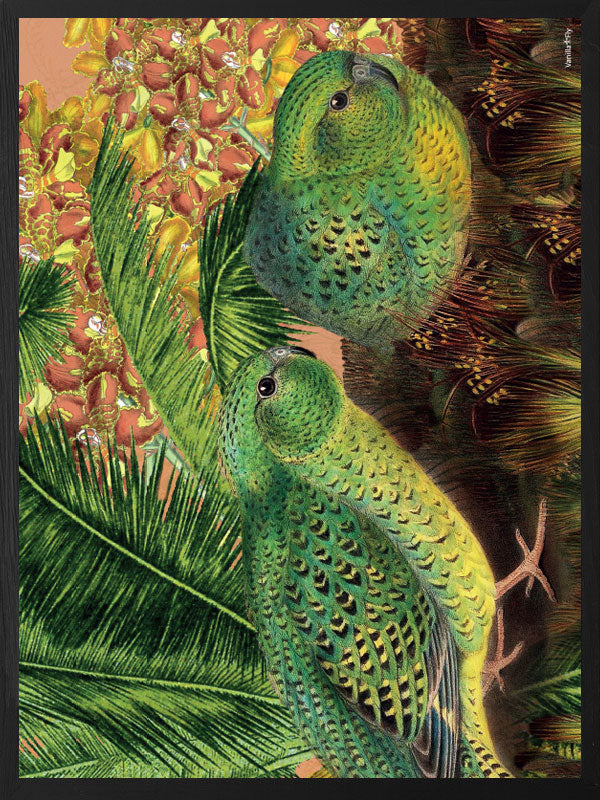 PLAKATER, vanillafly, vanillaflydk, gallerivæg, retrotryk, retroplakater, plakater, flotteplakater, artprints, designprint, billedvæg, flotteplakater, kunst, kunsttryk, gallerikunst, vægkunst, plakatertilsalg, posters, poster, retroposter, retro, art, artprints, artprint, interior, interiordesign, galleryart, botanicalposter, botanicalillustration, gallerywall, wallart, botanicalprint, botanicalart, homedecor, tropicalprint, tropicalart, floralprint, floralart, floralprints, walldecor, artwork wallspace, st